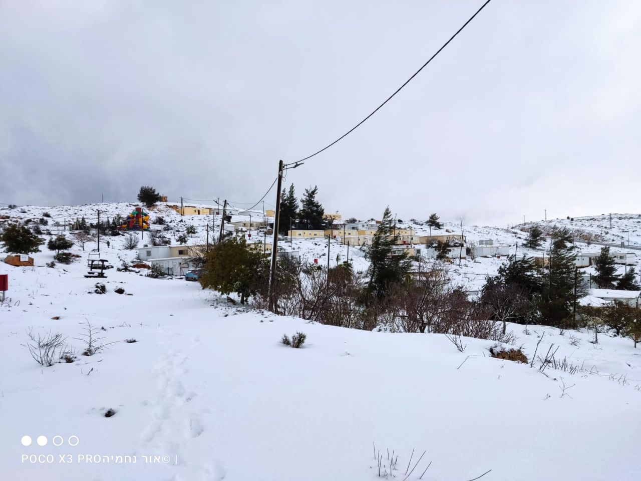 (צילום: אור נחמיה אהרונוב)